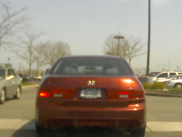 licence