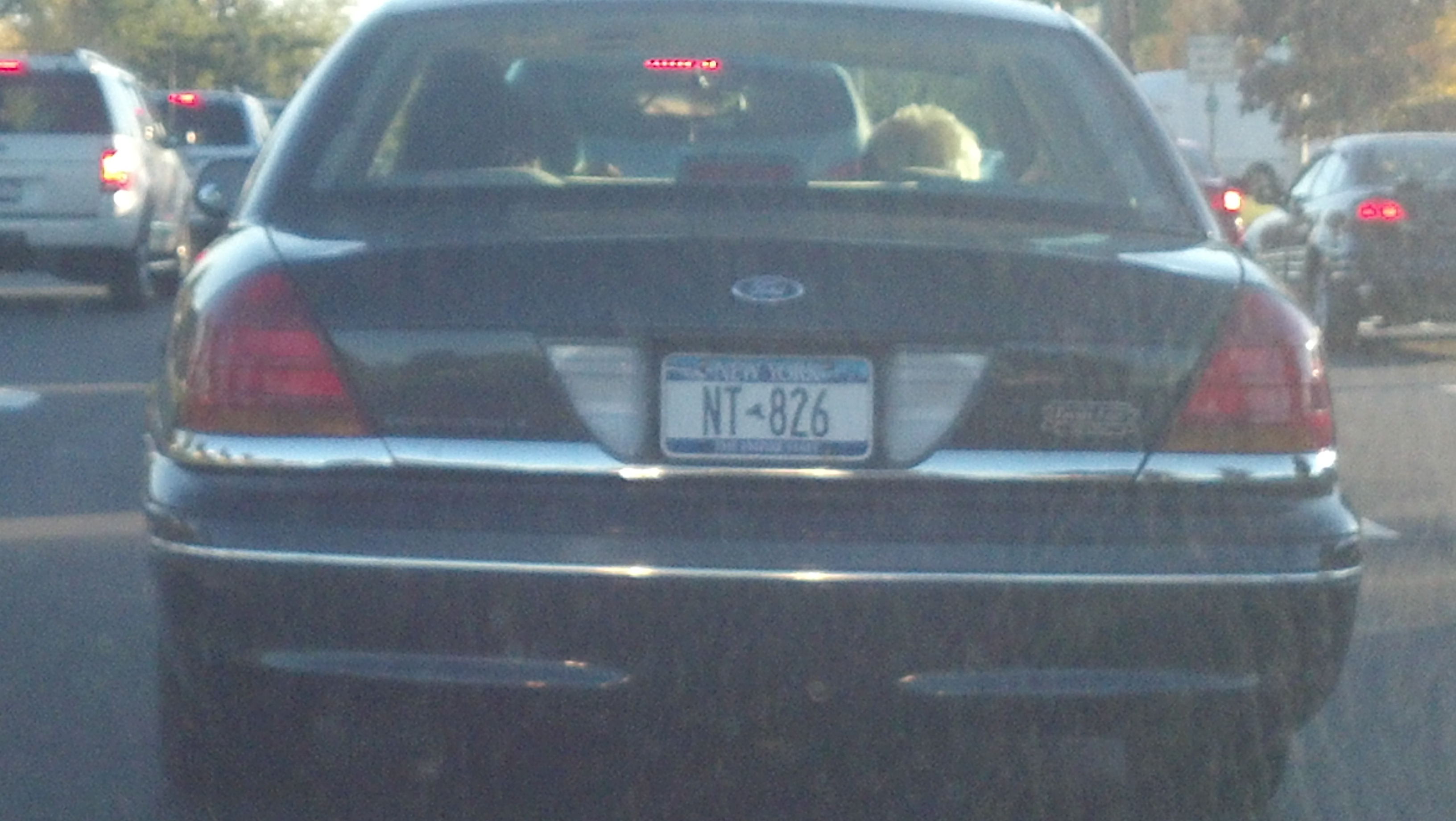 licence